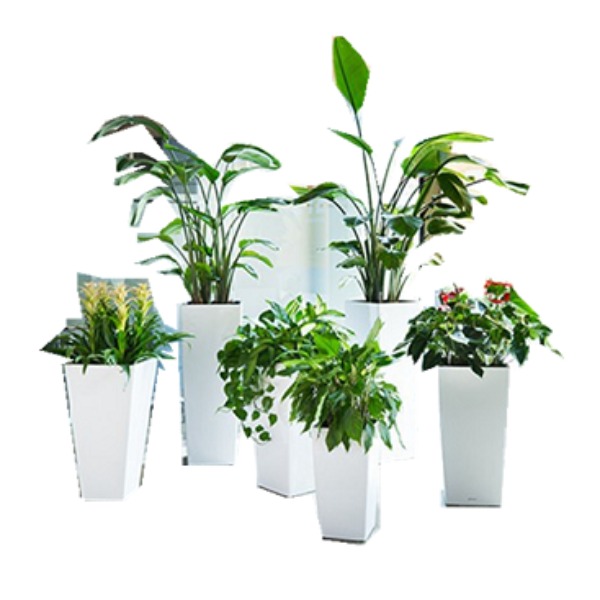 大型落地景觀組合