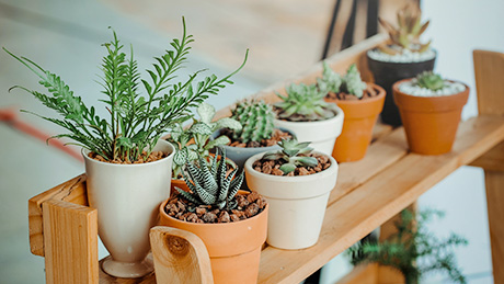 物業(yè)清潔衛(wèi)生及綠化服務(wù)知識(shí)